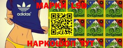 дмт Краснодар