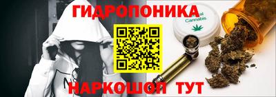 дмт Краснодар