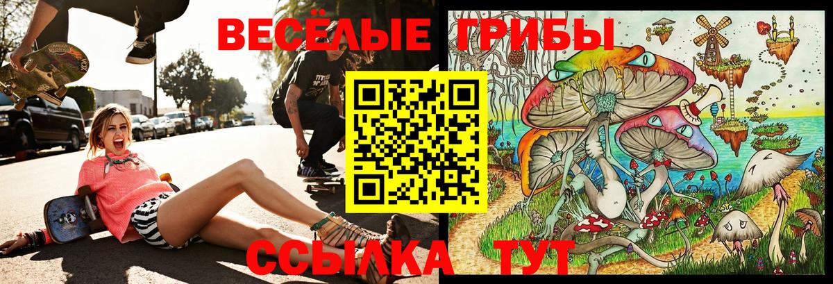 Галлюциногенные грибы Psilocybine cubensis  Вход с VPN  продажа наркотиков  Верхняя Пышма 